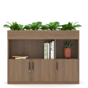 Tủ cây trang trí để hồ sơ TC2C12-426