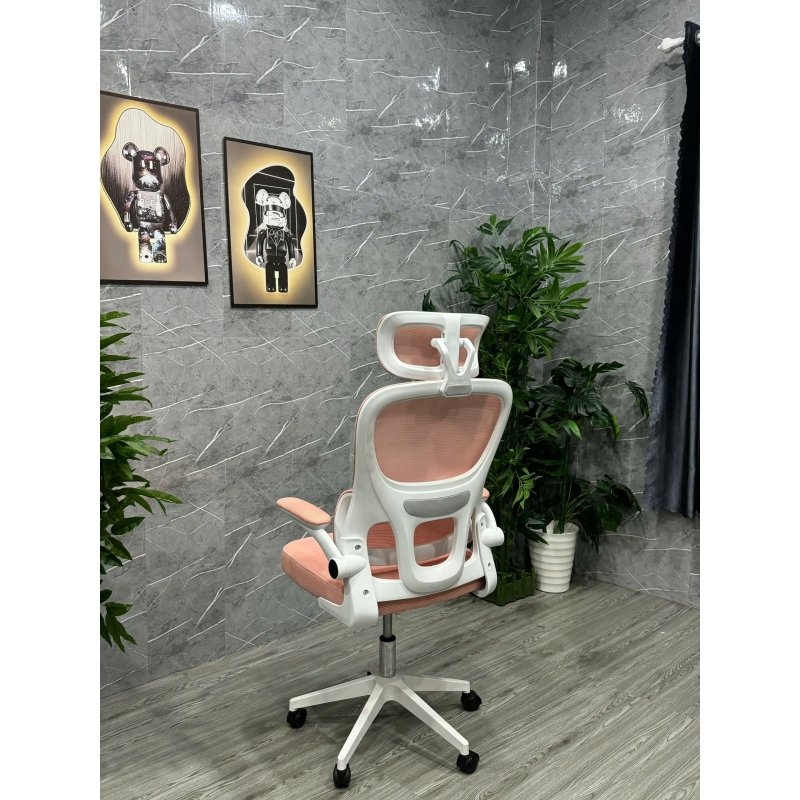 Ghế Làm Việc CTH24 Công Thái Học Hỗ Trợ Cột Sống