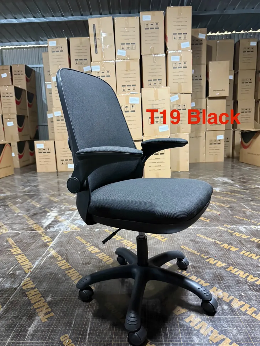 ghe-cong-thai-hoc-t19-nho-gon-gia-mem-02 Ghế Công Thái Học T19 Kiểu Dáng Nhỏ Gọn Giá Mềm