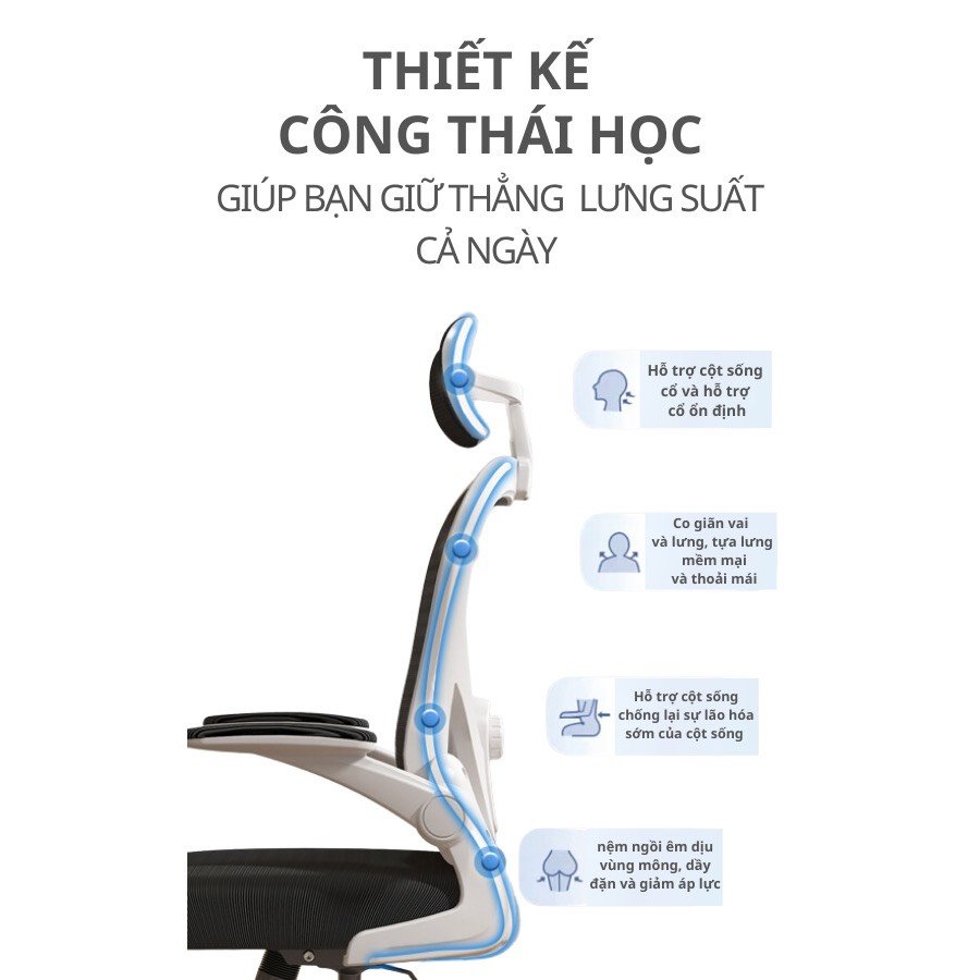 ghe20cong20thai20hoc20co20gac20chan2013