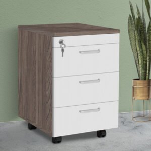 Hộc tủ mini thấp đựng tài liệu