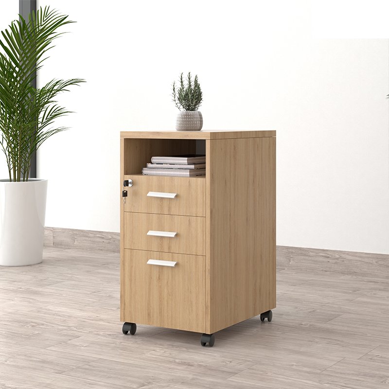 Tủ phụ đựng tài liệu di động TP12-N