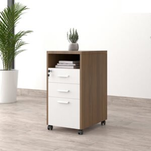 Tủ phụ di động máy in, tài liệu TP12