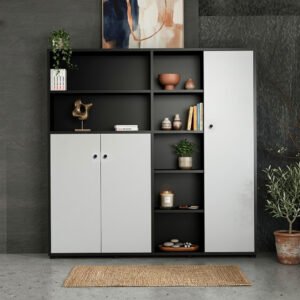 Tủ phòng giám đốc phong cách hiện đại 1m6 -TL71