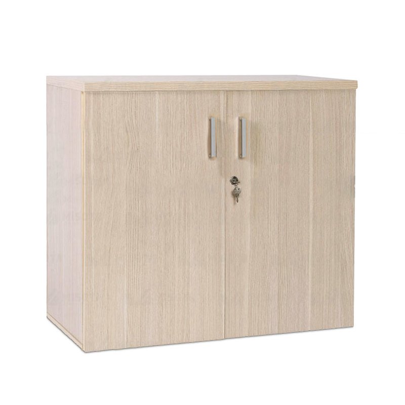 Tủ hồ sơ dáng thấp 16