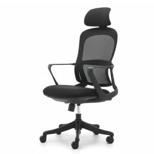 Ghế Công Thái Học Lưng Lưới Hiện Đại - GX52