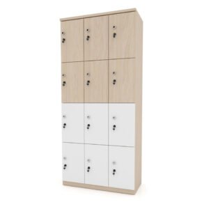Tủ gỗ để đồ trường học, bệnh viện, nhà xưởng